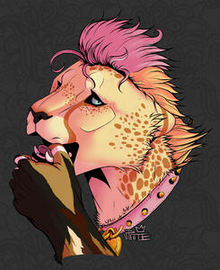 Colour & Simple Shading Headshot